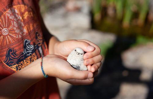 Les Oiseaux - Photo 6