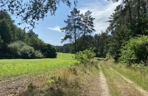 Ferienhaus in Neu Poserin for 5 Personen - Foto 42