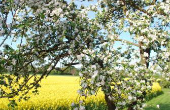 Ferienwohnung im Grünen - Hof Blohme - Foto 48