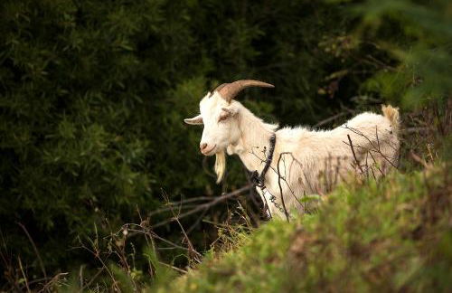 Bella Vista (Heated Pool & Private Parking) - Foto 30