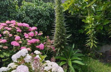 MAISON AVEC JARDIN PROCHE MER - Foto 1