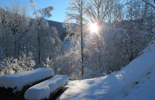 Abnoba Mons Design Apartment Lenzkirch - Photo 17