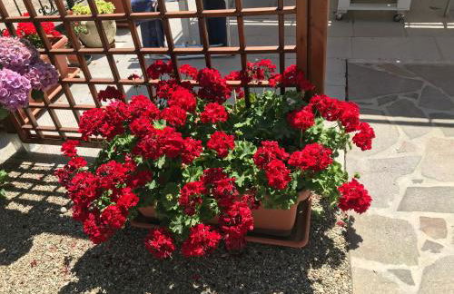 Casa Ortensia - Foto 17