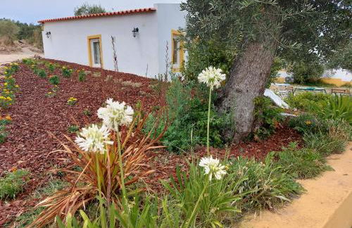 Monte Machial - Foto 30