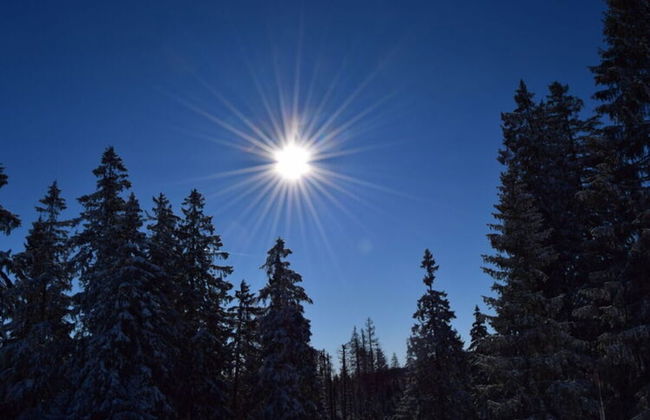 Holiday Apartment Busch - Foto 19