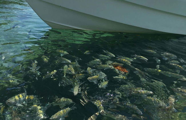 Tour pela gruta do Acaiá e lagoas de Ilha Grande - Foto 4