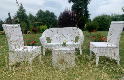 Agro na Wapniarni - Foto 58