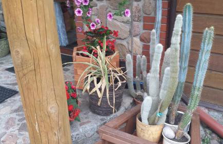 Kwiatowa Zagroda - Foto 22