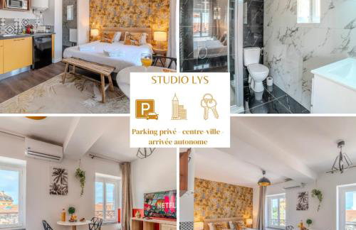 Lys Roanne centre-ville - Clim & Parking - Foto 1