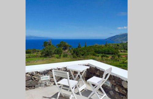 Fish House 3 - Photo 25