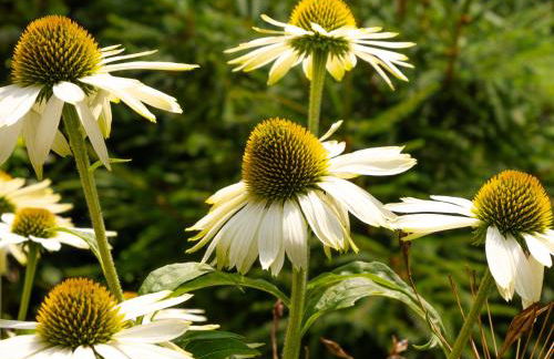 Charging Station Woffelsbach - Photo 15