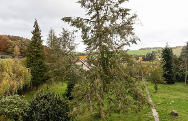 Ferienhaus im Thuringer Wald - Foto 35