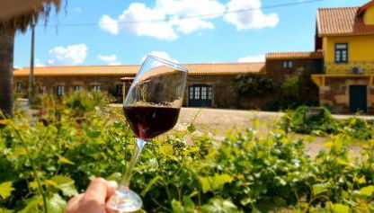 Quinta do Chao D'Ordem - Foto 5, Garden, Garden view