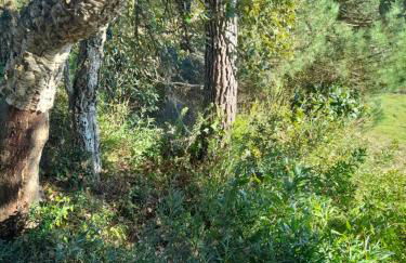 Nadadouro Eco-country-cottage - Foto 22