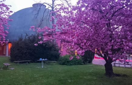 Ferienwohnung an den Grundwiesen - Foto 55