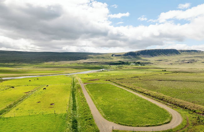 Laugavellir House and Tower Suite - Foto 57