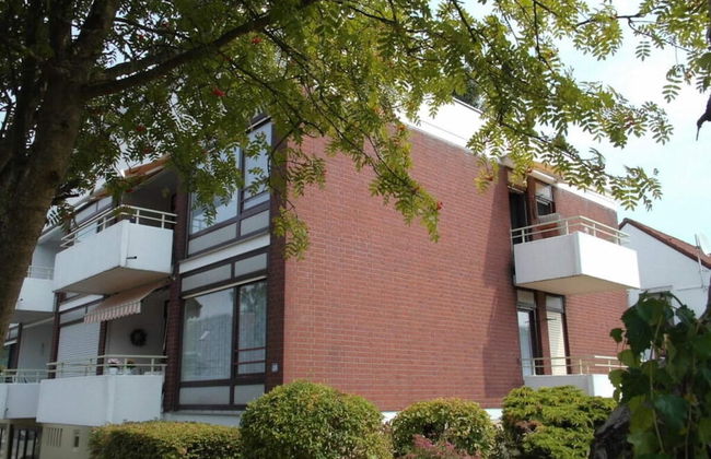 Herring Gull - Foto 22