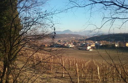 SESTO SENSO - Foto 23