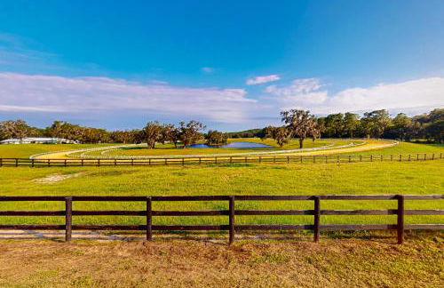 7 Mi to Paynes Prairie Preserve! Rural Retreat - Foto 19