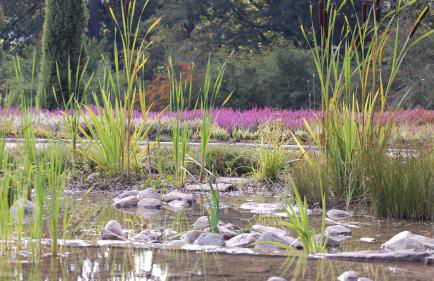 Heide Apartments - Foto 28