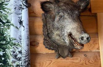 Holiday Home am Rennsteig by Interhome - Foto 10