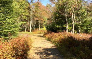 Charming Corner Newly Furnished Townhome - Foto 51