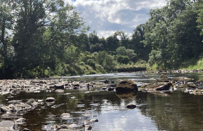 Cosy Pod-cabin Near Beautiful Landscape in Omagh - Foto 4
