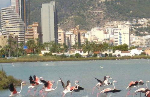 Apartamento a 2 min de playa - Photo 36