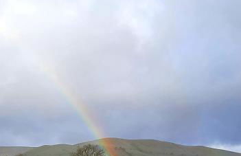 Owl Cabin - Photo 34