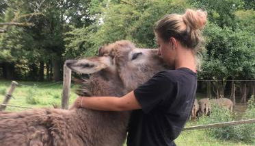Le logis de la Grange aux Gîtes de l'Etang des Noues, - Photo 5