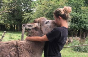 Le logis de la Grange aux Gîtes de l'Etang des Noues, - Photo 5