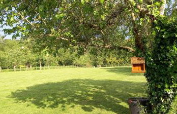 Gîtes le clos du verger - Foto 9