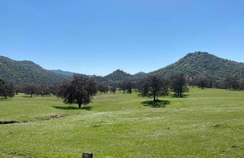 Waxberry Getaway Sequoia/Kings Canyon National Pks - Foto 73