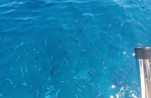 Casa Riviera dei Fiori - Foto 35