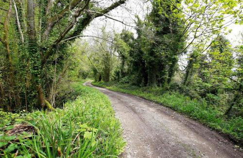 3 Bed in Lyme Regis oc-61809 - Photo 24