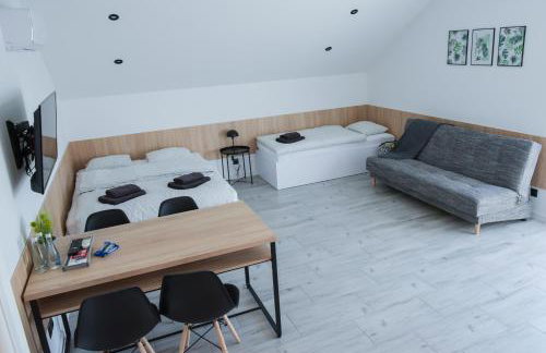 Apartamenty Pawełek - Foto 29