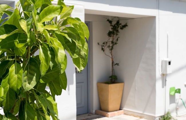 Three Bedroom Traditional Village House - Foto 14