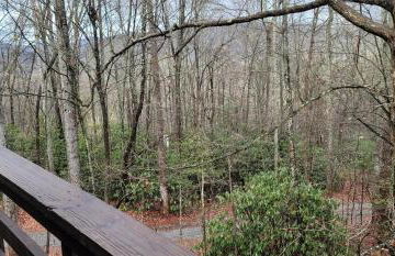 Fletcher NC Getaway - Foto 6