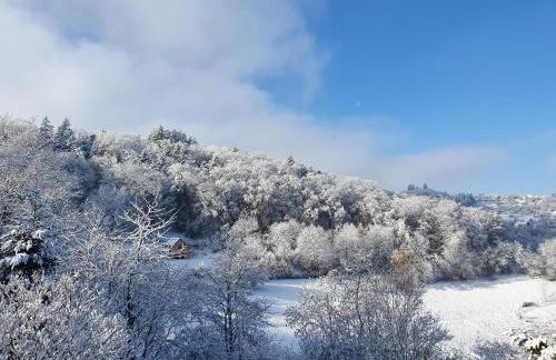 Le Chant du Loriot - Foto 39