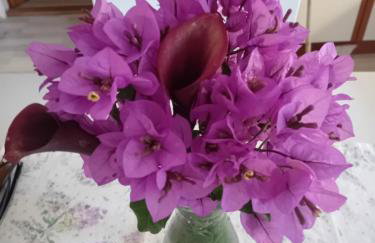 Apartments Vendi - Photo 47