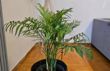 Cosy Apartment in The Heart of The City - Foto 19