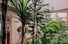 Yumbo Tinache Luxury Maspalomas - Foto 27