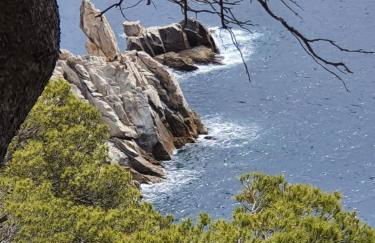 Apartment with garden and sea view Santa Cristina Blanes - Foto 60