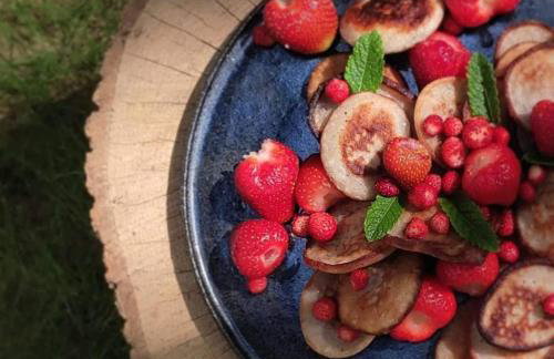 Siedlisko MiłoBrzózka - Photo 5