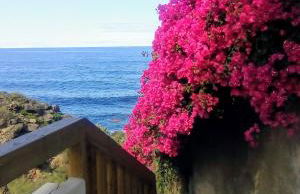 La Pardela Oceanfront - Foto 33