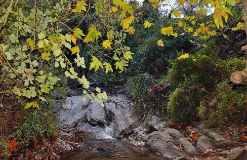 House in Εndless green - Arethousa, Ikaria - Photo 44