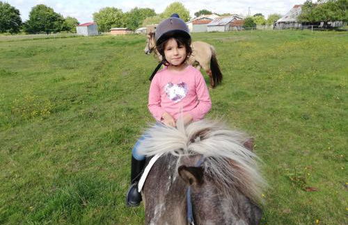 eco nature, gite à la ferme - Foto 42