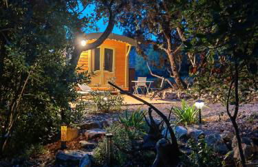 Domaine Roulotte Farigoule - Foto 6