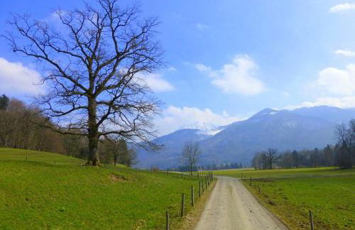 Ferienwohnungen Rosenegger - Photo 13