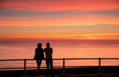 Ddol Cottage Traditional Coastal cottage nr Llangrannog & New Quay with Donkeys - Photo 15